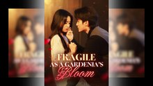Fragile As A Gardenia's Bloom