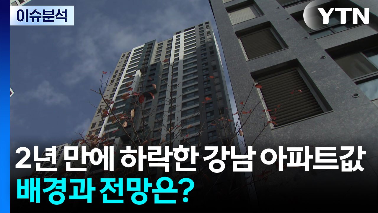 [이슈ON] 2년 만에 하락한 강남 아파트값...배경과 전망은? / YTN