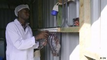 Solar‑powered vertical fish farms thrive in Kenya