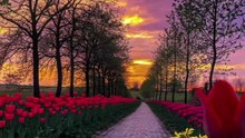 Beautiful Qur’an Recitation – Peaceful and Spiritu