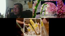 ◯証拠動画流星仕事人(2026年02月26日16時38分31秒)