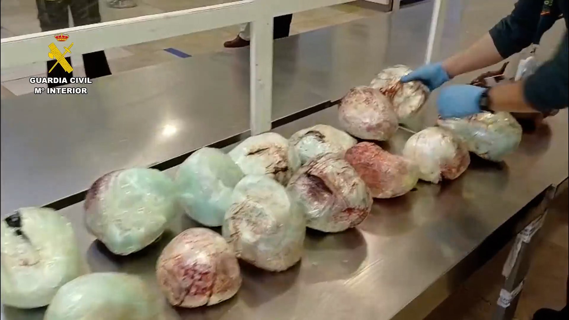 En una operaci�n reciente contra el tr�fico ilegal de fauna silvestre, la Guardia Civil ha incautado en el aeropuerto Adolfo Su�rez Madrid-Barajas un total de 15 ejemplares muertos de una subespecie de pangol�n. Los animales, que se encontraban ocultos en el interior de una maleta procedente de un vuelo de Addis Abeba (Etiop�a), representan una grave vulneraci�n de las normativas de conservaci�n, ya que se trata de una especie protegida por el Convenio sobre el Comercio Internacional de Especies Amenazadas de Fauna y Flora Silvestres (CITES).