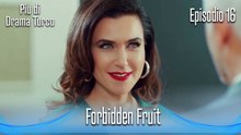 Forbidden Fruit Episodio 16 (Italian Dubbed)