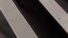 How to maintain high speed door for long-term use?