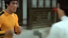 Bruce Lee vs Jackie Chan
