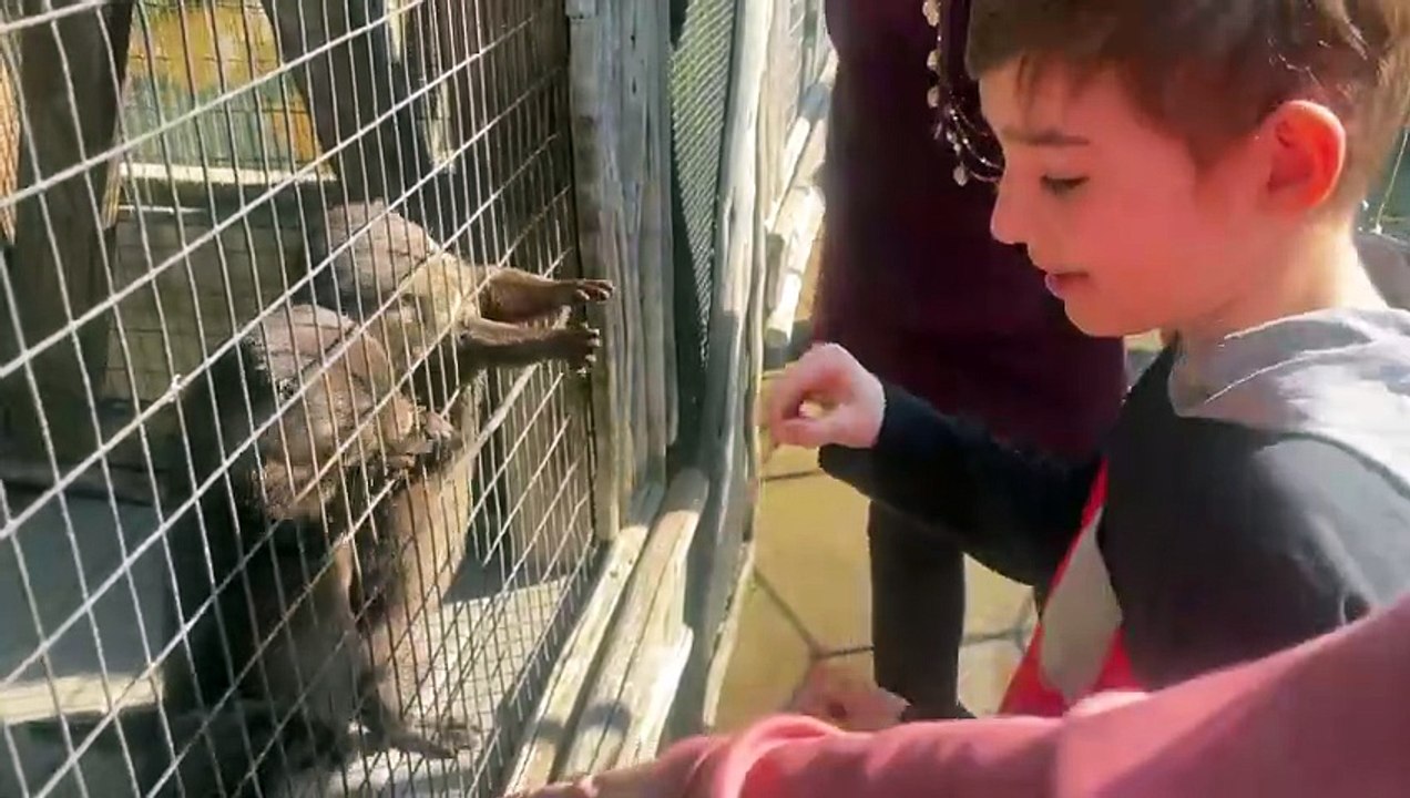 Otter Feeding 2023 12 27 11 16 23