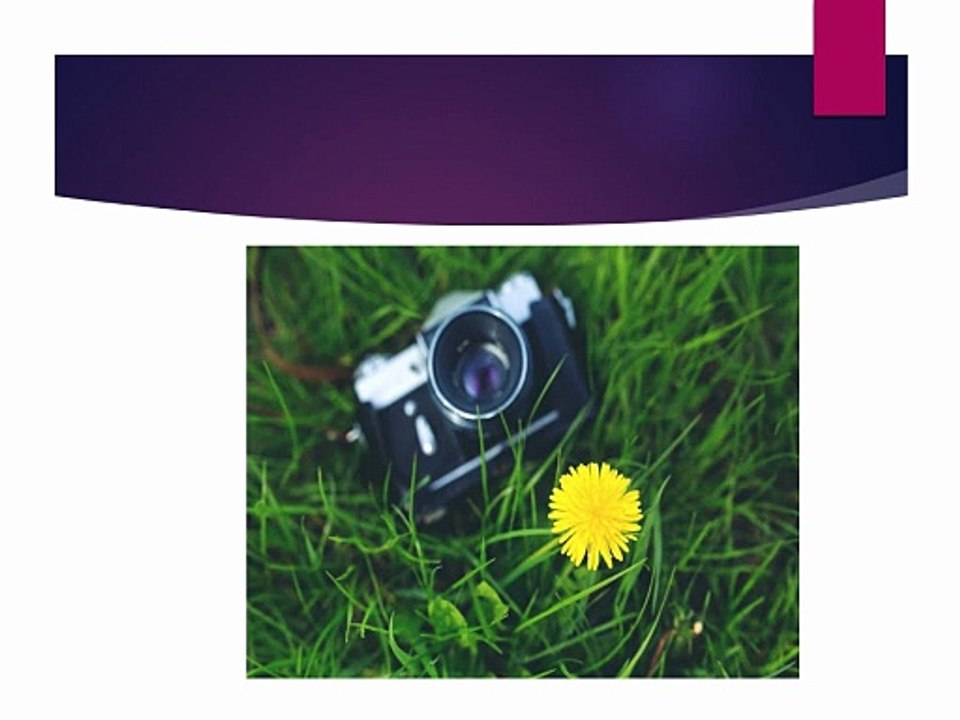 Growing Through the Lens Yvette Heiser Inspires Amateur Photographers