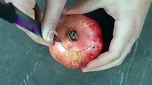 Easiest way to cut open a pomegranate in seconds!