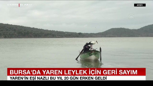 Bursa’da Yaren leylek için geri sayım