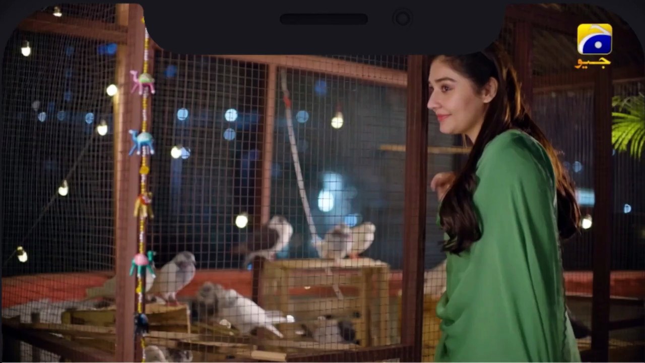 Kabhi Apni Behan Ko Akela Nahin Chor Sakta Aik Aur Pakeezah Har Pal Geo