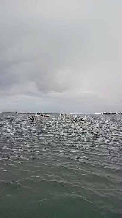 LAGUNA RESTINGA ISLA MARGARITA DE VENWZUELA