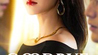Goodbye, Liar - Chinese Drama - English Sub