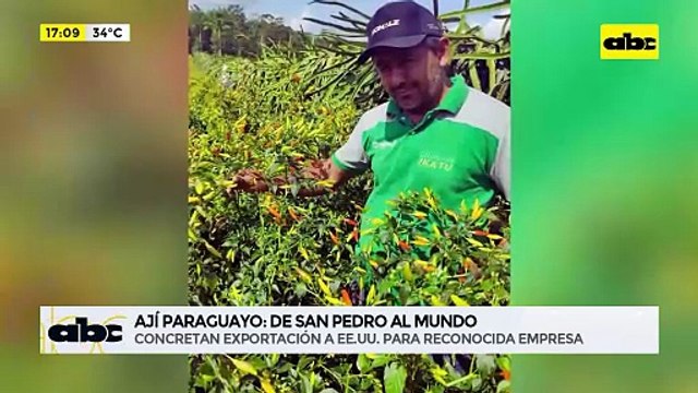 ABC Negocios: Ají Paraguayo, de San Pedro al mundo