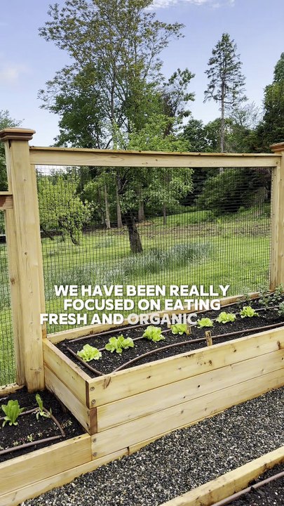 Growing a Garden
