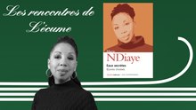 Les idylles de L'écume | Eaux Secrètes, de Marie Ndiaye (éd. Quarto)