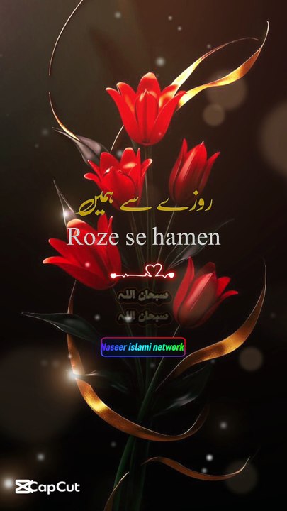 Ramzan Mubarak#islam #bayan #viral #Ramzan Sharif#shot#allbayan #Islami short video#v#trending#viral shots video #trendingshorts #foryou #love#naat#T#