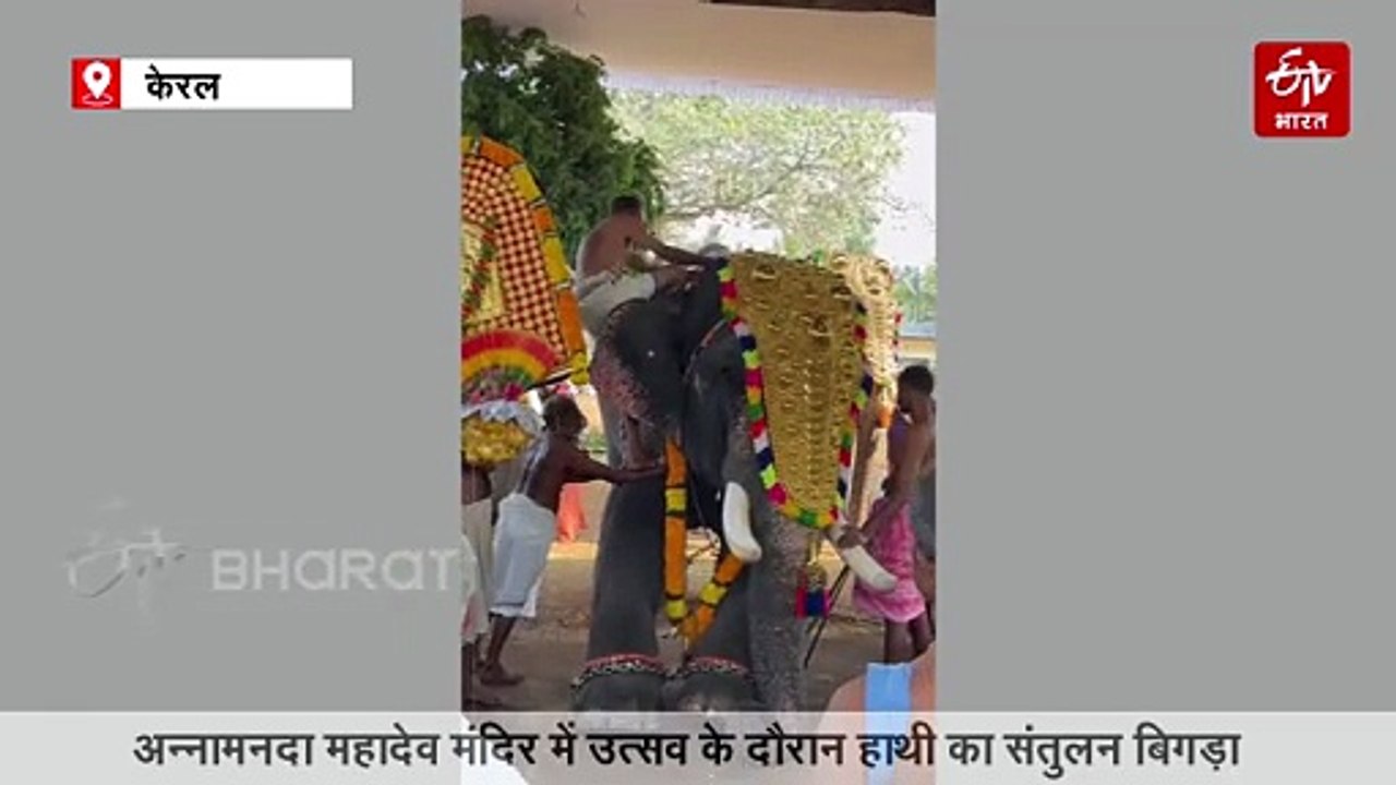 उत्सव के बीच गजराज को आया गुस्सा: केरल में मूर्ति स्थापना के दौरान युवक को सूंड से उठाकर पटका, देखें-VIDEO