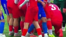 Gaivota é atingida por bolada durante jogo de futebol na Turquia e reanimada por capitão de time