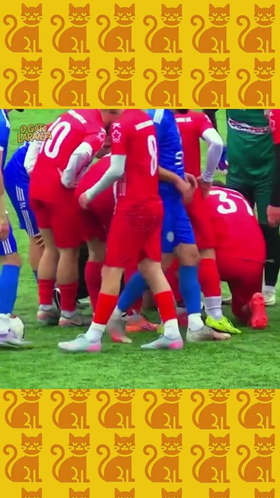 Gaivota é atingida por bolada durante jogo de futebol na Turquia e reanimada por capitão de time