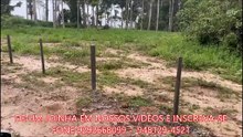 FAZENDA COM 384 ALQUEIRÃO A VENDA CMC