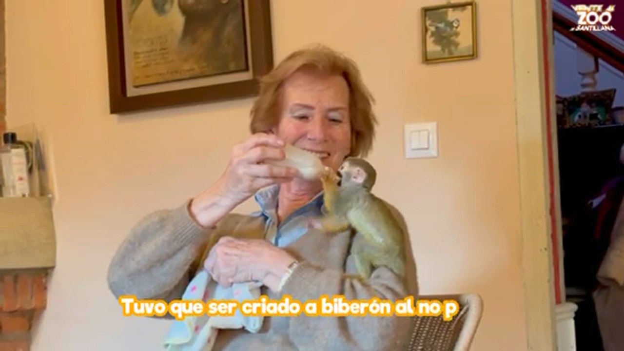 Richter, el 'Punch' español que también se crio con un peluche tras ser separado de su madre