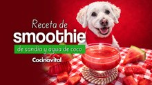 Receta de smoothie de sandía para perro