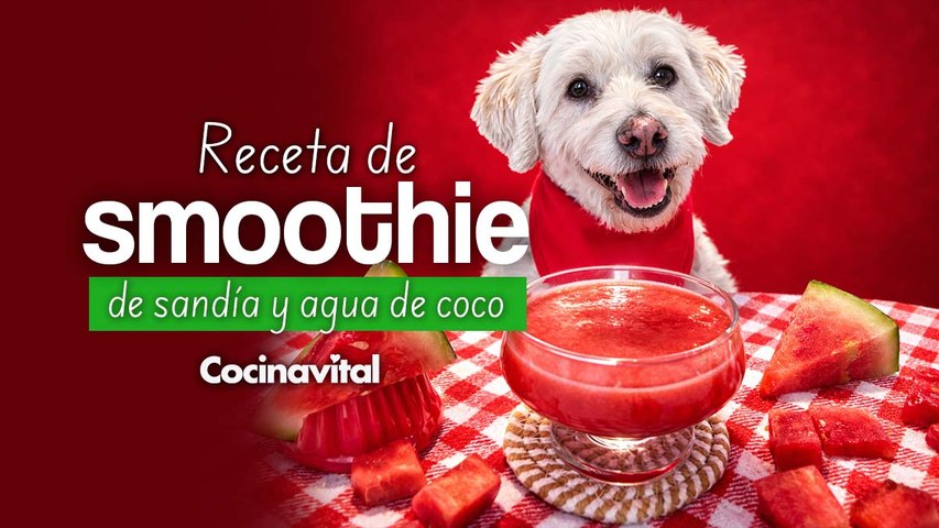 Receta de smoothie de sandía para perro