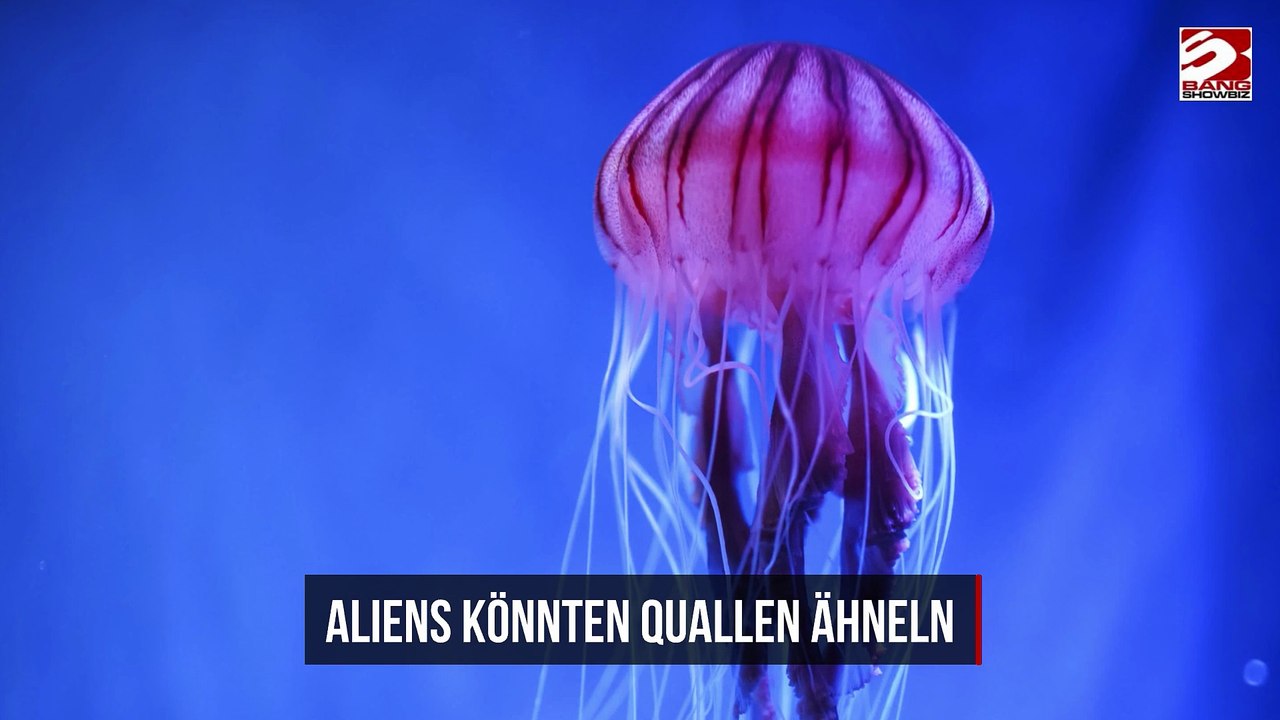 Aliens könnten Quallen ähneln