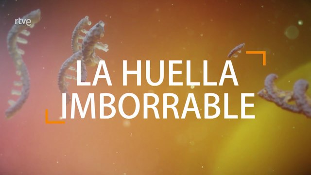 ARQUEOMANÍA - La huella imborrable