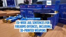 Brussels seeks EU-wide jail sentences for firearms offences including 3D-printed weapons