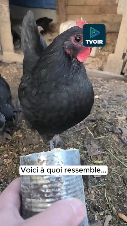 La nature est vraiment incroyable ! 😄❤️