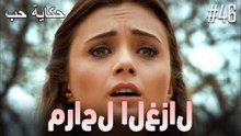 مشاهد الغزال