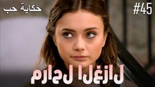 مشاهد الغزال