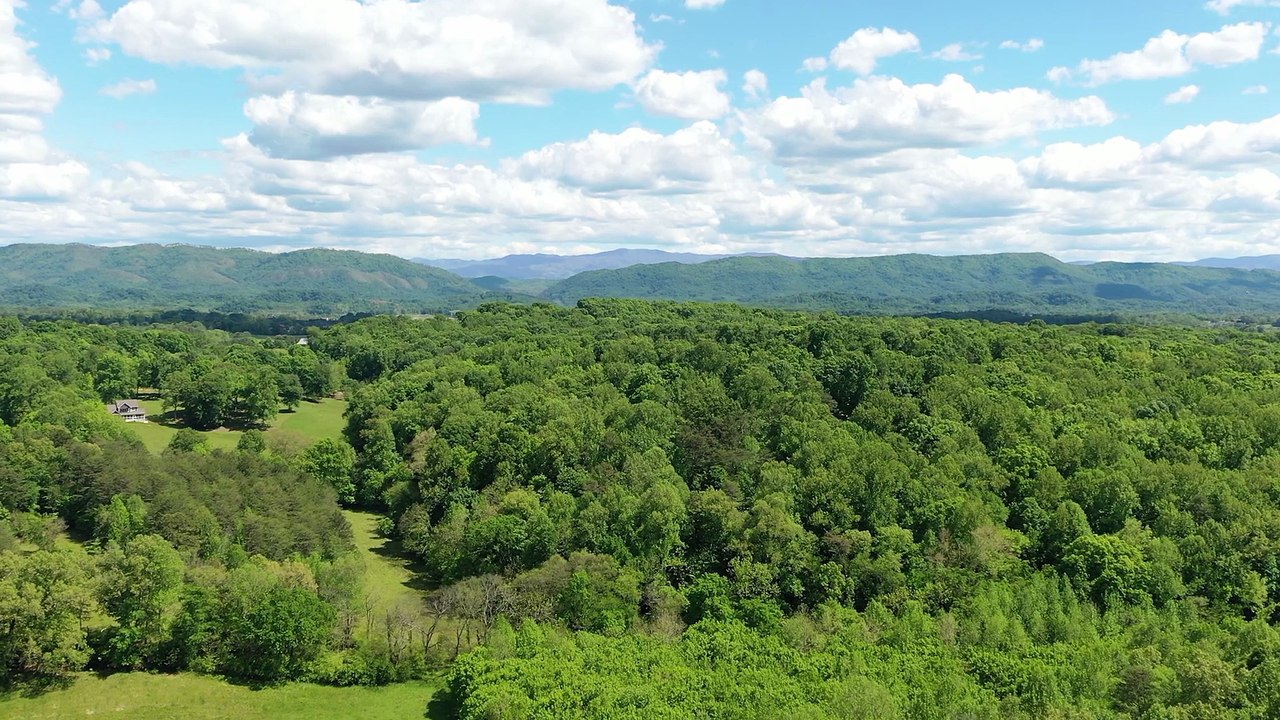 Loudon County Fence Native to East Tennessee