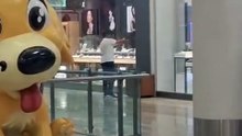 VÍDEO 2: Ex-companheiro suspeito de matar mulher em shopping mandou áudio para amigos: “Matei a Cibelle”