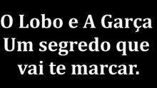 A LIÇÃO AMARGA QUE O LOBO ENSINOU (E QUE VOCÊ PRECISA SABER)