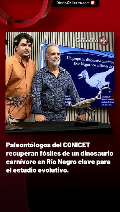 Paleontólogos del CONICET recuperan fósiles de un dinosaurio carnívoro en Río Negro clave para el estudio evolutivo.