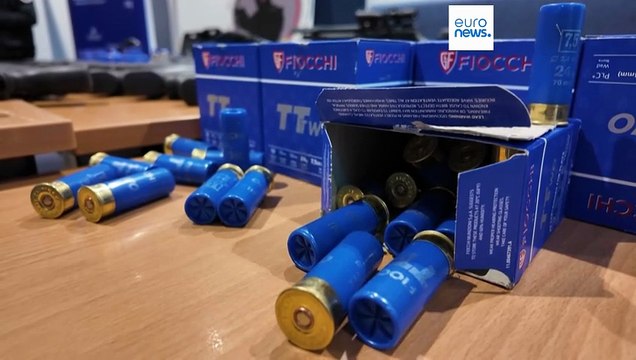 Bruxelles chiede pene detentive simili nell'Ue per i reati legati alle armi da fuoco, comprese quelle da stampanti in 3D