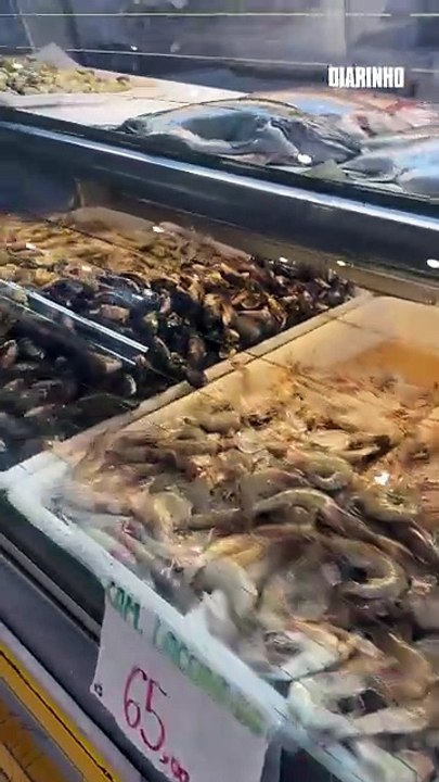 Operação descarta meia tonelada de peixe e fecha boxe no Mercado do Peixe