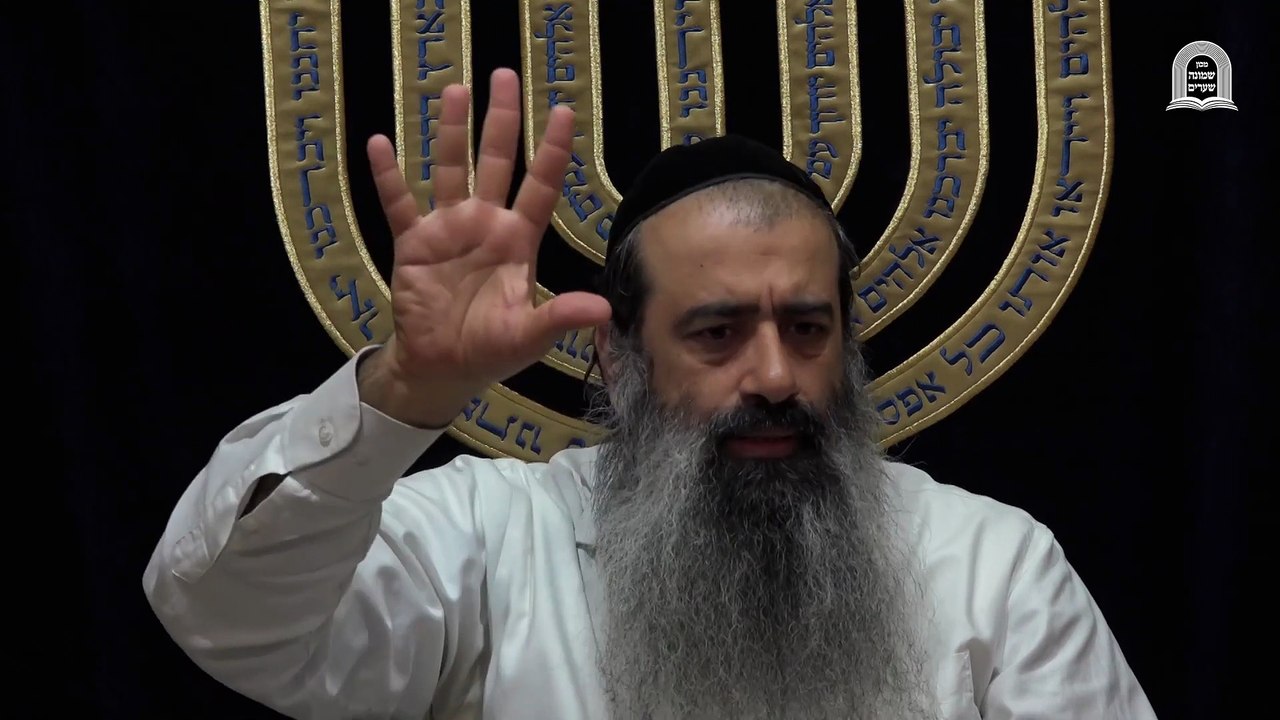 תורת הערכים 05