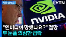 엔비디아 '깜짝 실적'도 소용없다...난감한 상황에 직면한 AI의 기둥 [굿모닝경제]  / YTN