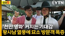 왕사남 흥행에 엄흥도 묘지까지 '들썩'...단종 묘소에 달린 위로 댓글 [이슈톺]  / YTN
