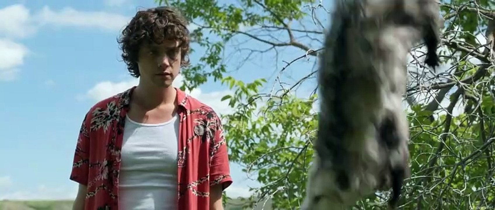 Die Alone (2024) Watch HD