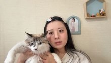福原心春 SKE48 2026-02-15 12_59 SHOWROOM