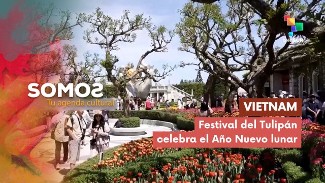 SOMOS | Vietnam | Festival del Tulipán celebra el Año Nuevo lunar 26-02-2026