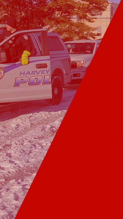 Sleeping baby seal rescued on Jersey Shore highway