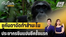 ยูกันดาจัดทำสำมะโนประชากรชิมแปนซีครั้งแรก|ทันโลก EXPRESS | 27 ก.พ. 69