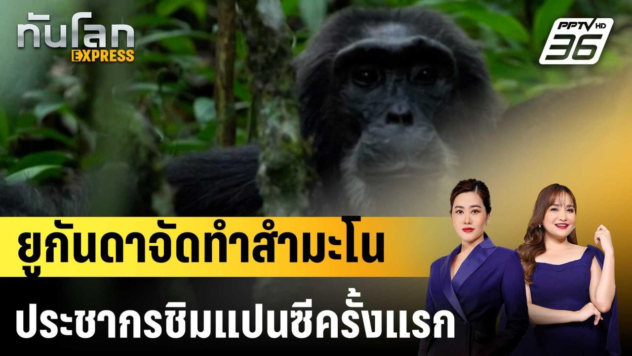 ยูกันดาจัดทำสำมะโนประชากรชิมแปนซีครั้งแรก|ทันโลก EXPRESS | 27 ก.พ. 69