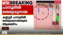 വീട്ടുമുറ്റത്ത് കളിച്ചുകൊണ്ടിരുന്ന ഏഴാം ക്ലാസുകാരന് തെരുവുനായ ആക്രമണത്തിൽ പരിക്ക്