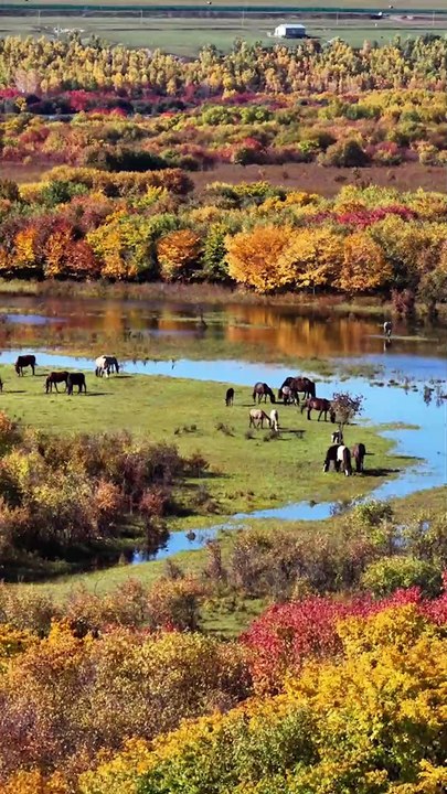 Turquoise Lake & Golden Autumn Forest | Stunning Mountain View
